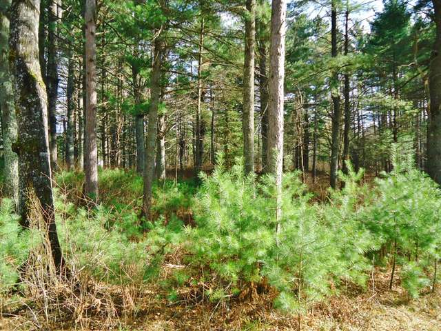 10394 Forest Road Tomahawk, WI 54487 - Photo 20 of 20 Gallery Image 20