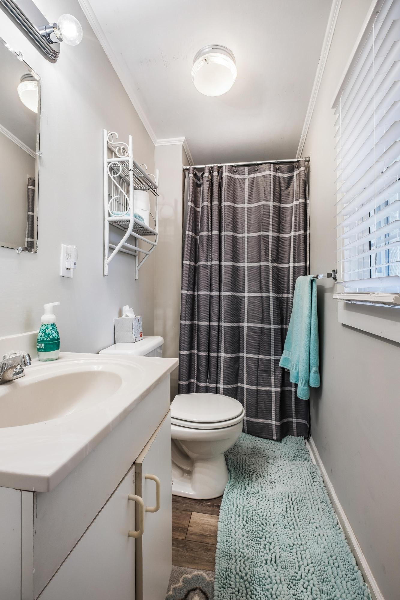 3408 Princess Pond Road Summerton, SC 29148 - Photo 4 of 28 Master Bath
