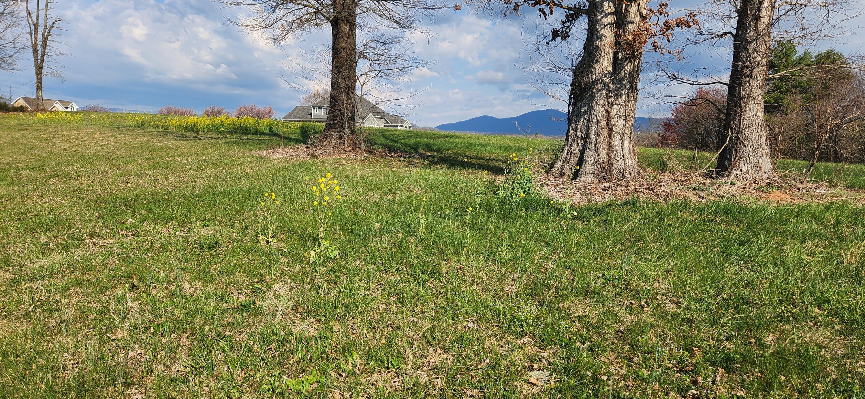 Lot 1 Callaway Road Rocky Mount, VA 24151 - Photo 3 of 6 Lot 1 (2)