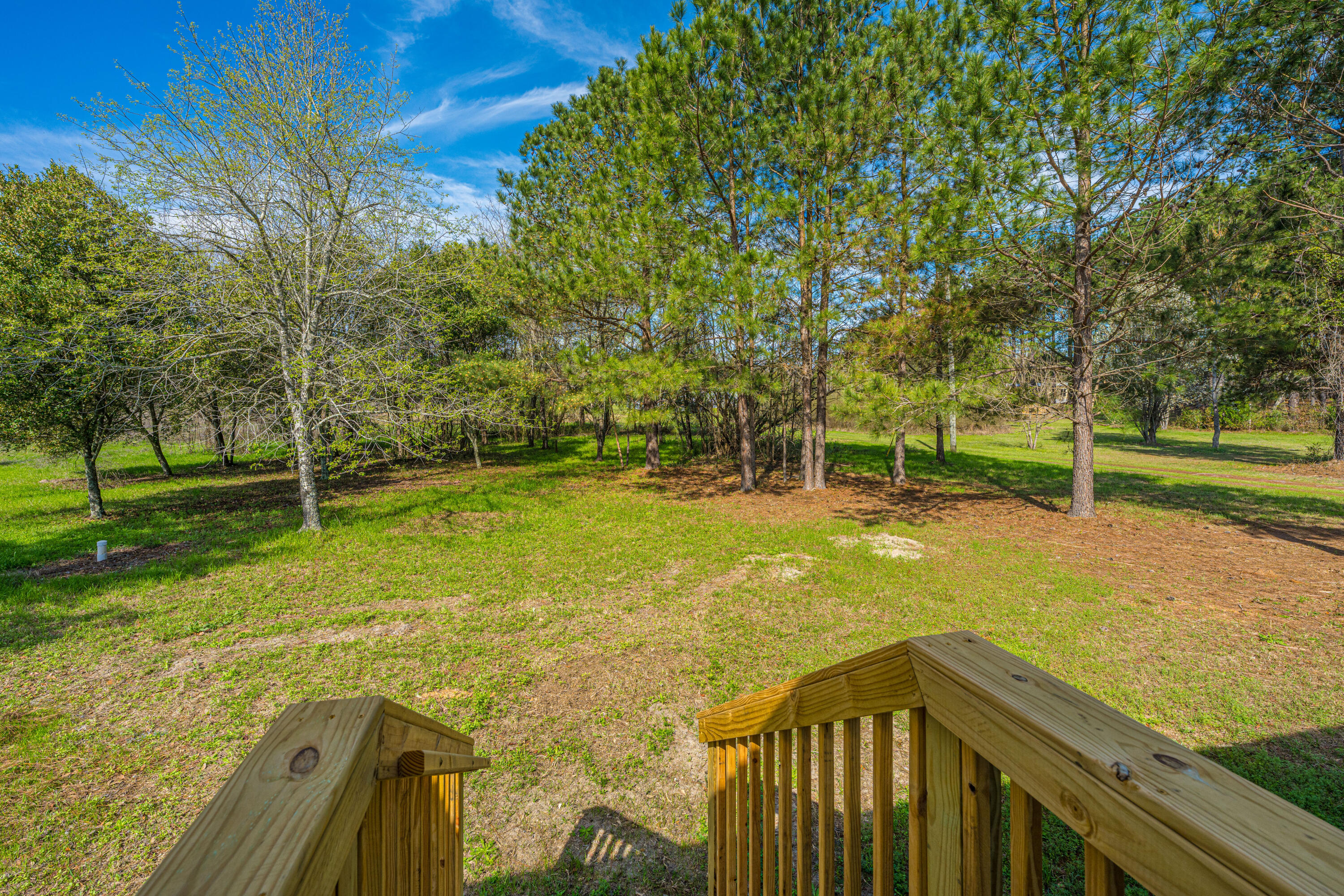 268 Rodeo Drive Eutawville, SC 29048 - Photo 44 of 83 268RodeoDr039