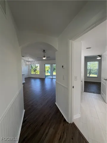 a tall tree in middle of the green field