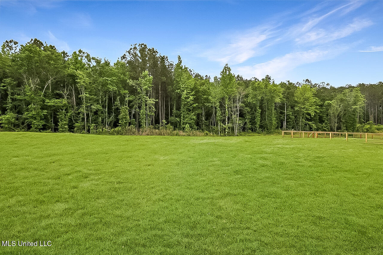 1622 Old Lake Road Brandon, MS 39042 - Photo 36 of 36 34-1622 Old Lake Rd