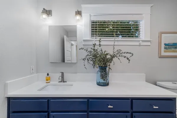 a bathroom with a sink and a potted plant