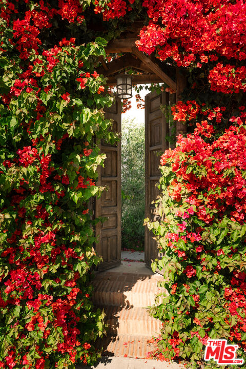3128 Stanford Avenue Venice, CA 90292 - Photo 5 of 43 a picture of flowers