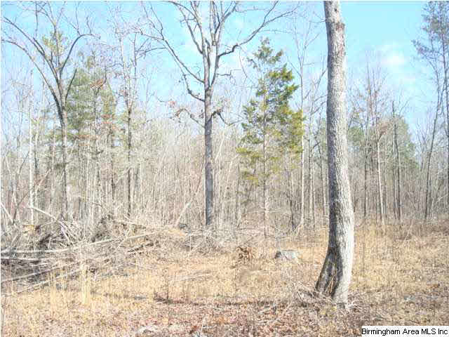 1180 Thompson Road, Unit 39 ACRES Ohatchee, AL 36271 - Photo 12 of 16