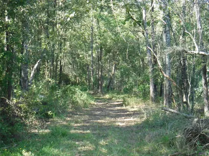 $240,000 | 19 Hwy Slaughter La, Ethel, LA 70730