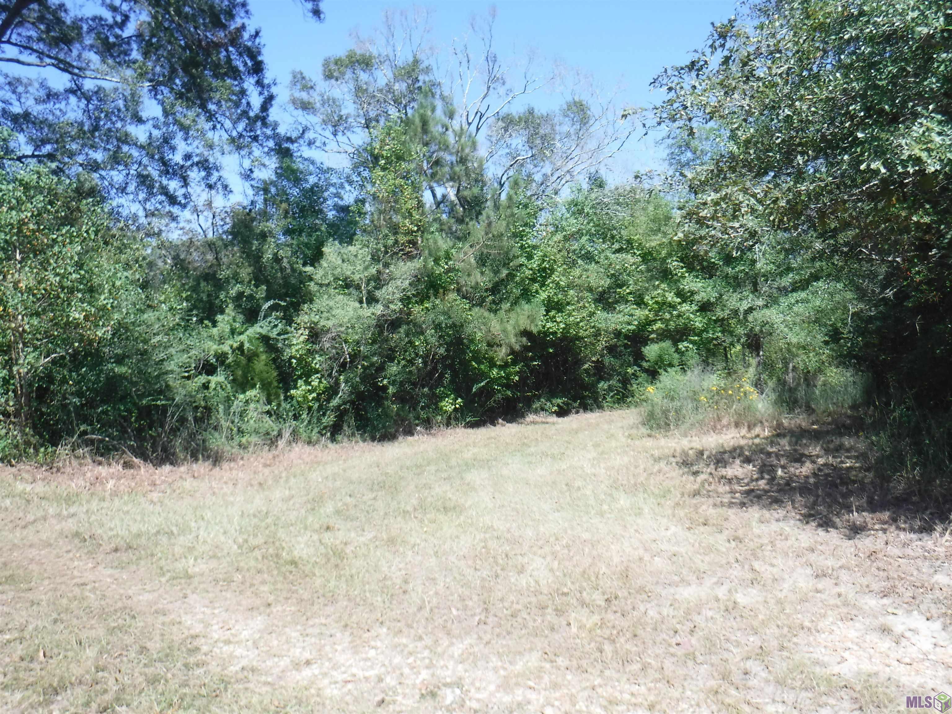 19 Hwy Slaughter La Ethel, LA 70730 - Photo 3 of 5