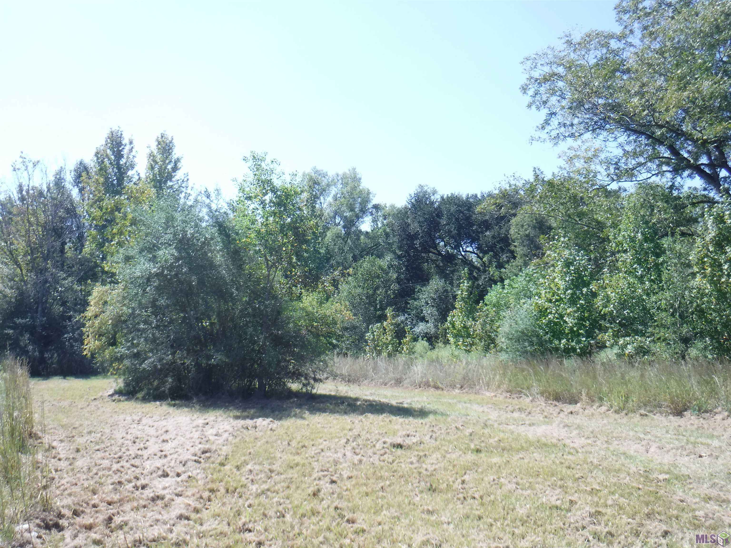 19 Hwy Slaughter La Ethel, LA 70730 - Photo 4 of 5