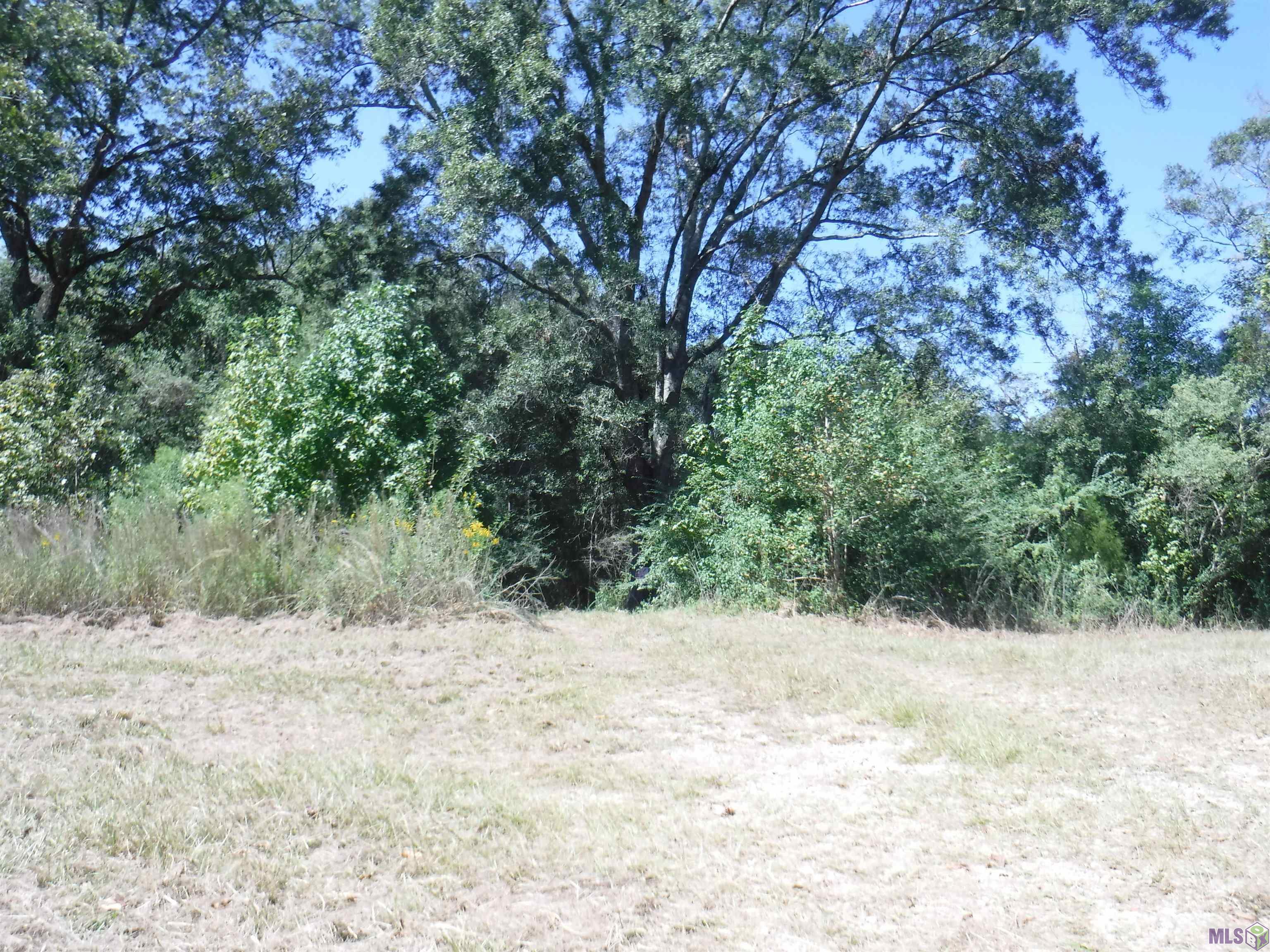 19 Hwy Slaughter La Ethel, LA 70730 - Photo 5 of 5