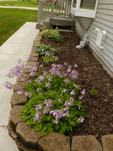 $239,900 | 314 10th Avenue Southeast, Elbow Lake, MN 56531