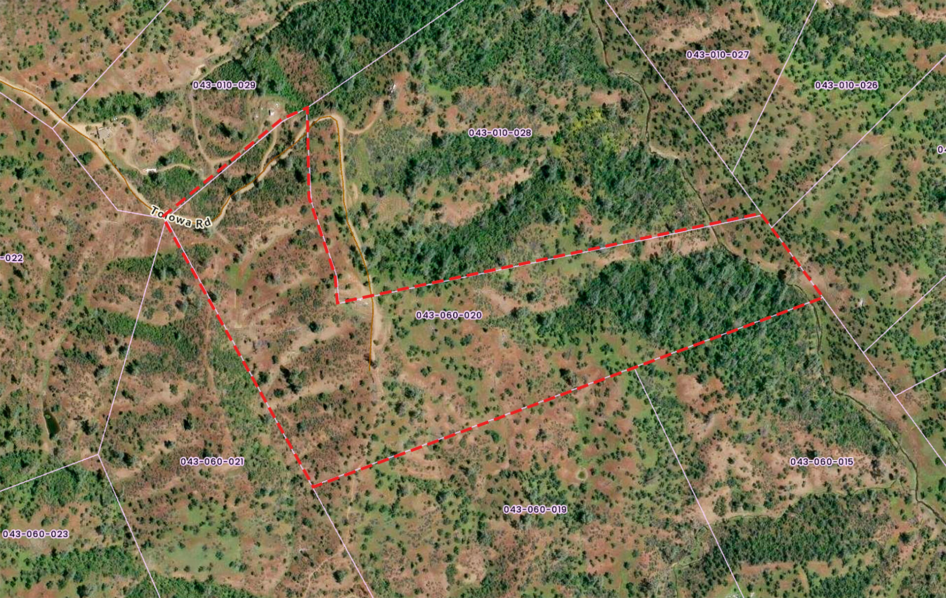 a view of a lush green forest with lots of trees