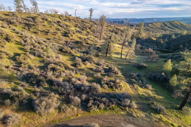 a view of residential houses with ocean view