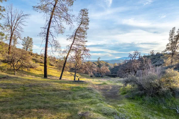 a view of outdoor space with deck and yard