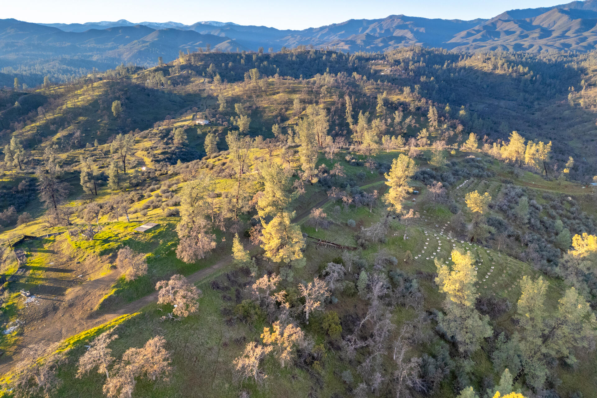 233 Tolowa Road Igo, CA 96047 - Photo 9 of 16 a view of city and mountain