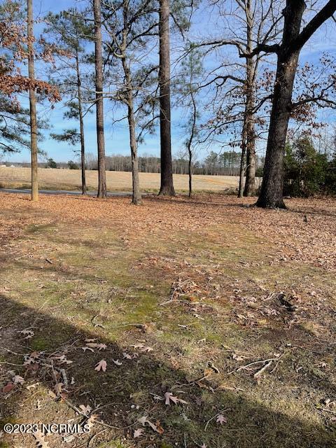 5942 Old Smithfield Road Spring Hope, NC 27882 - Photo 13 of 13 IMG_7887