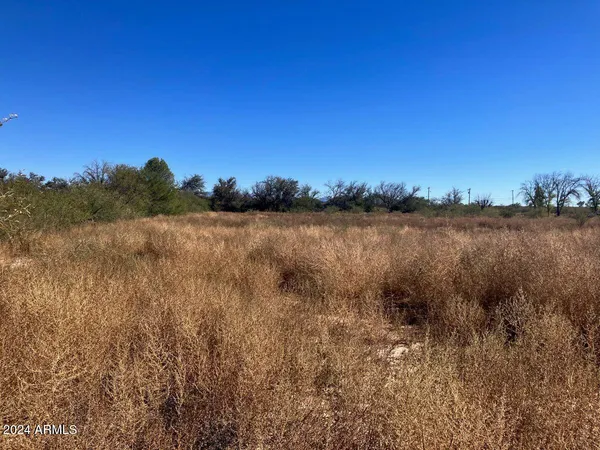 $115,000 | 0 South Ewing Street, St. David, AZ 85630