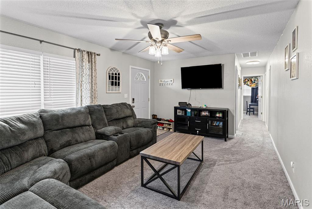 113 George Street Brighton, IL 62012 - Photo 12 of 33