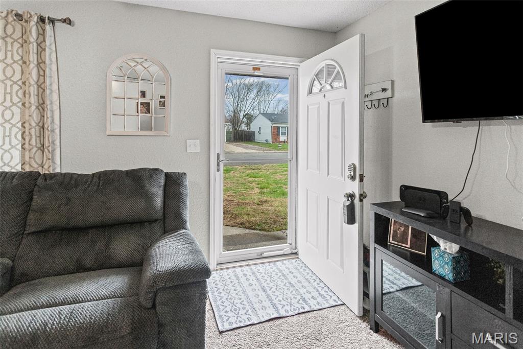 113 George Street Brighton, IL 62012 - Photo 5 of 33