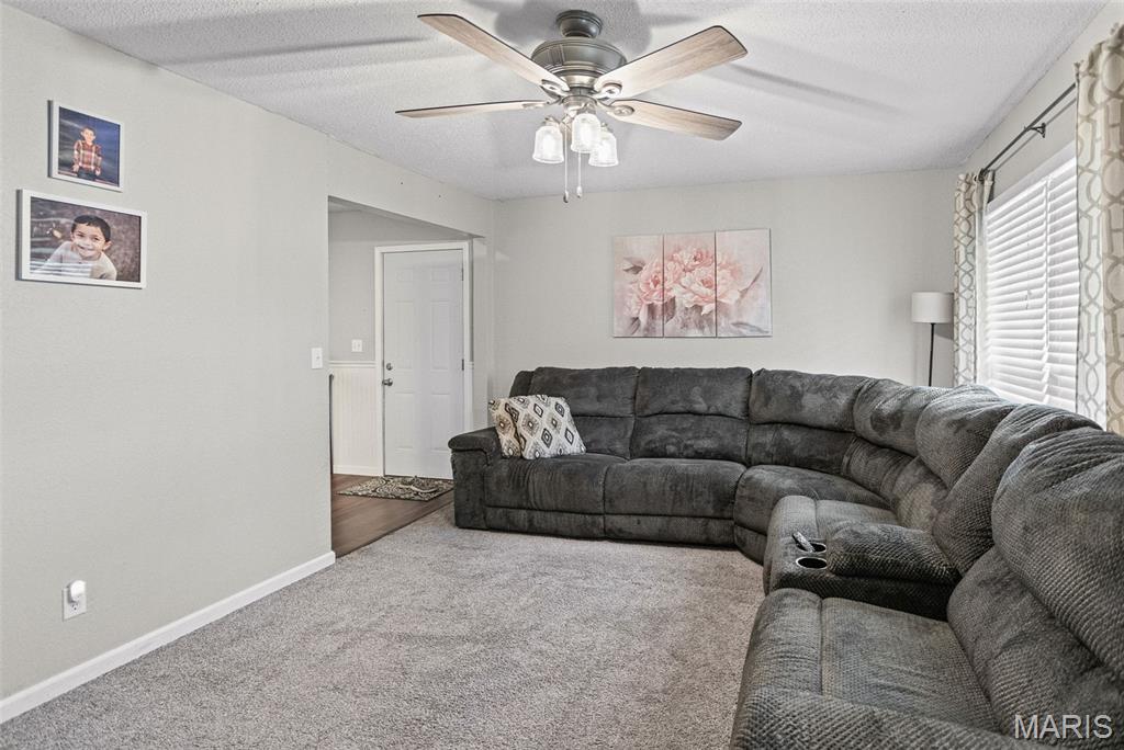 113 George Street Brighton, IL 62012 - Photo 6 of 33