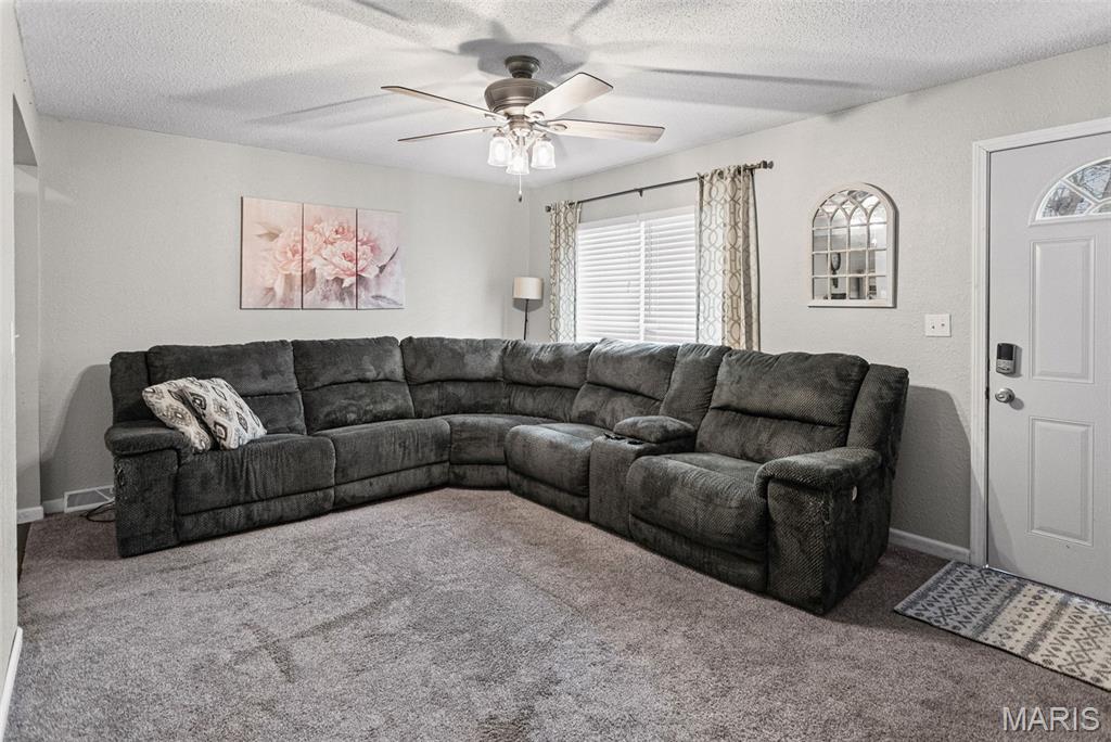 113 George Street Brighton, IL 62012 - Photo 8 of 33