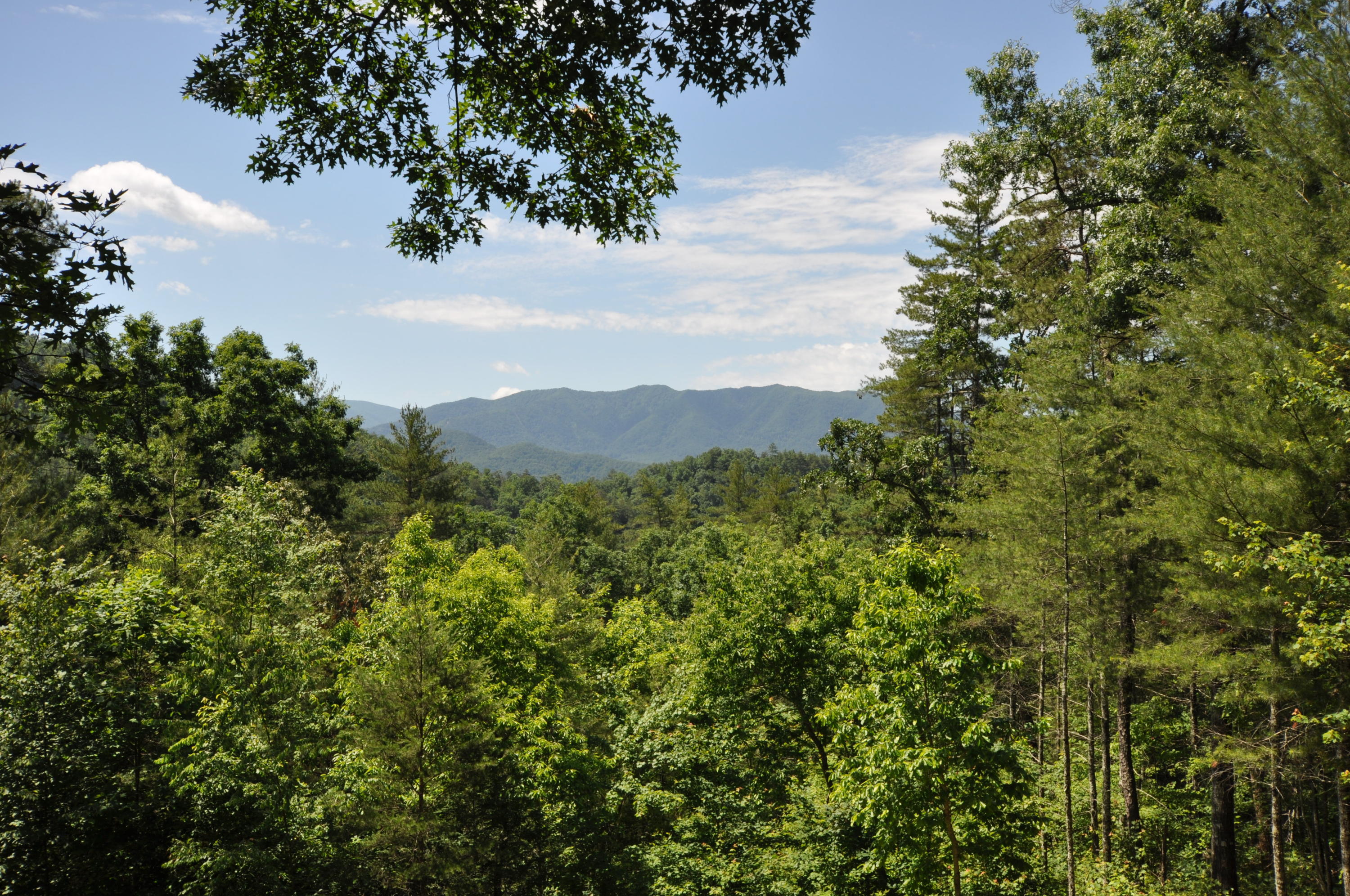 1057 Carrs Creek Road Townsend, TN 37882 - Photo 3 of 32 DSC_0143