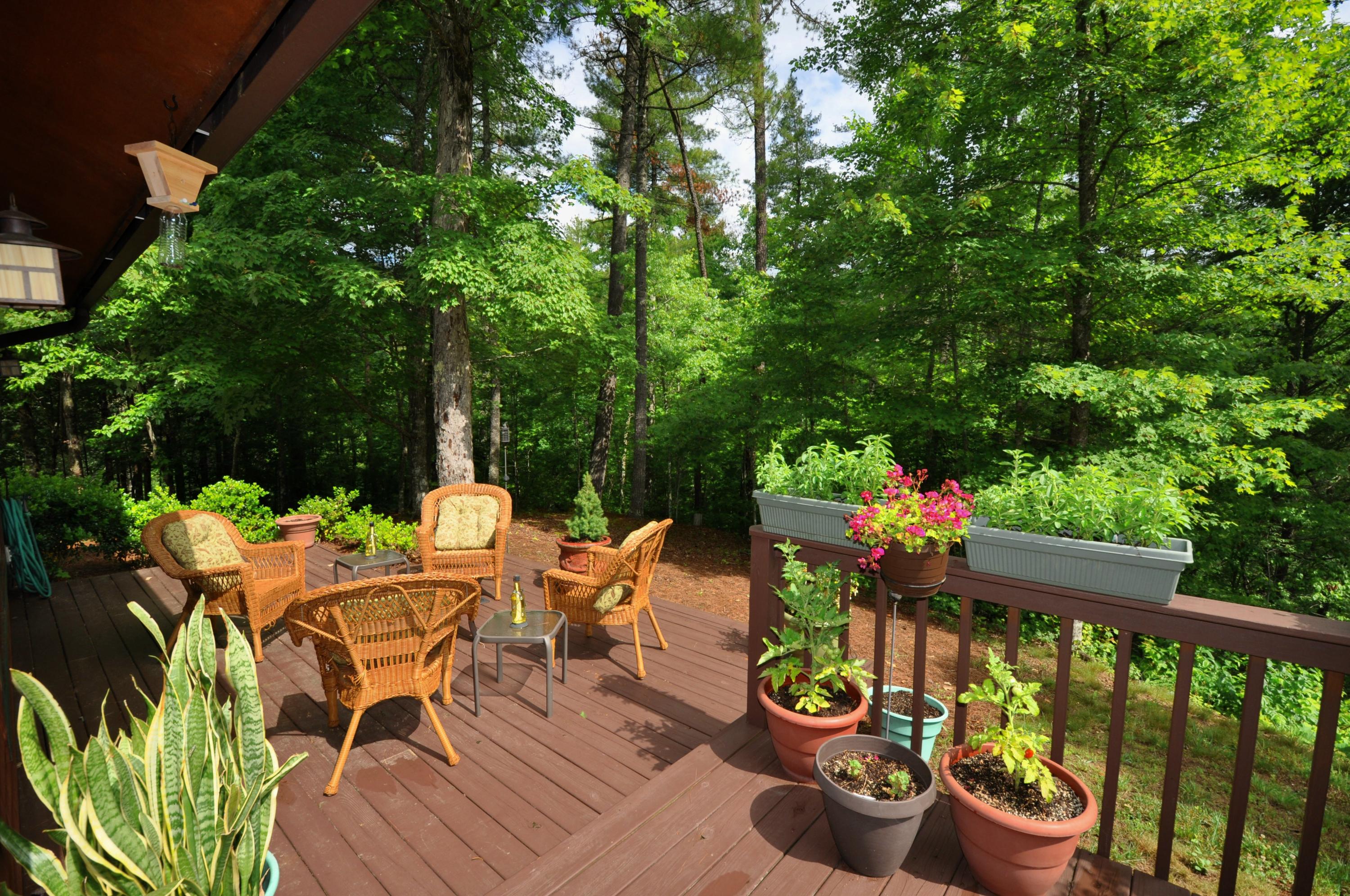 1057 Carrs Creek Road Townsend, TN 37882 - Photo 28 of 32 Outdoor living space
