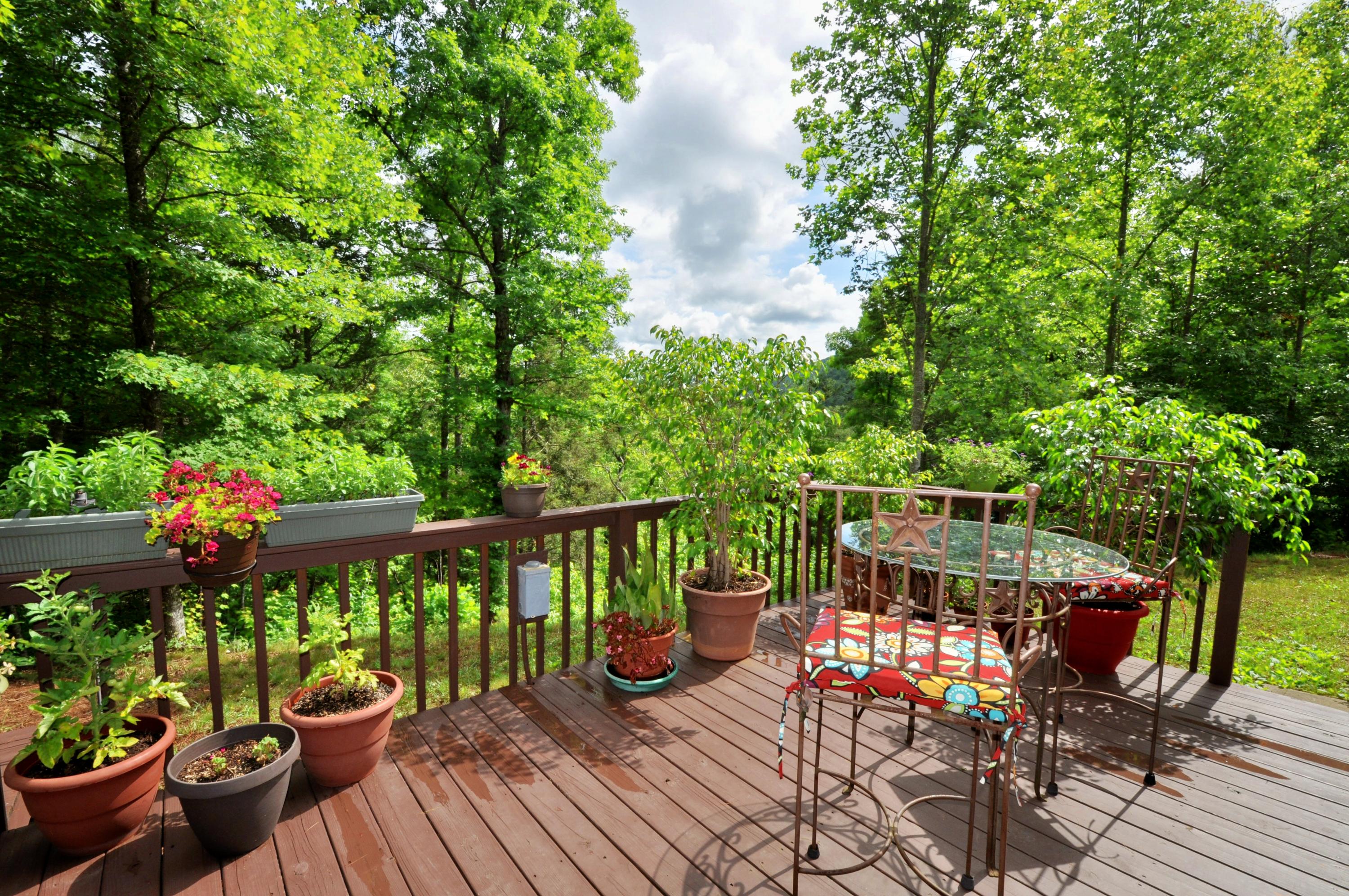 1057 Carrs Creek Road Townsend, TN 37882 - Photo 29 of 32 Rear deck