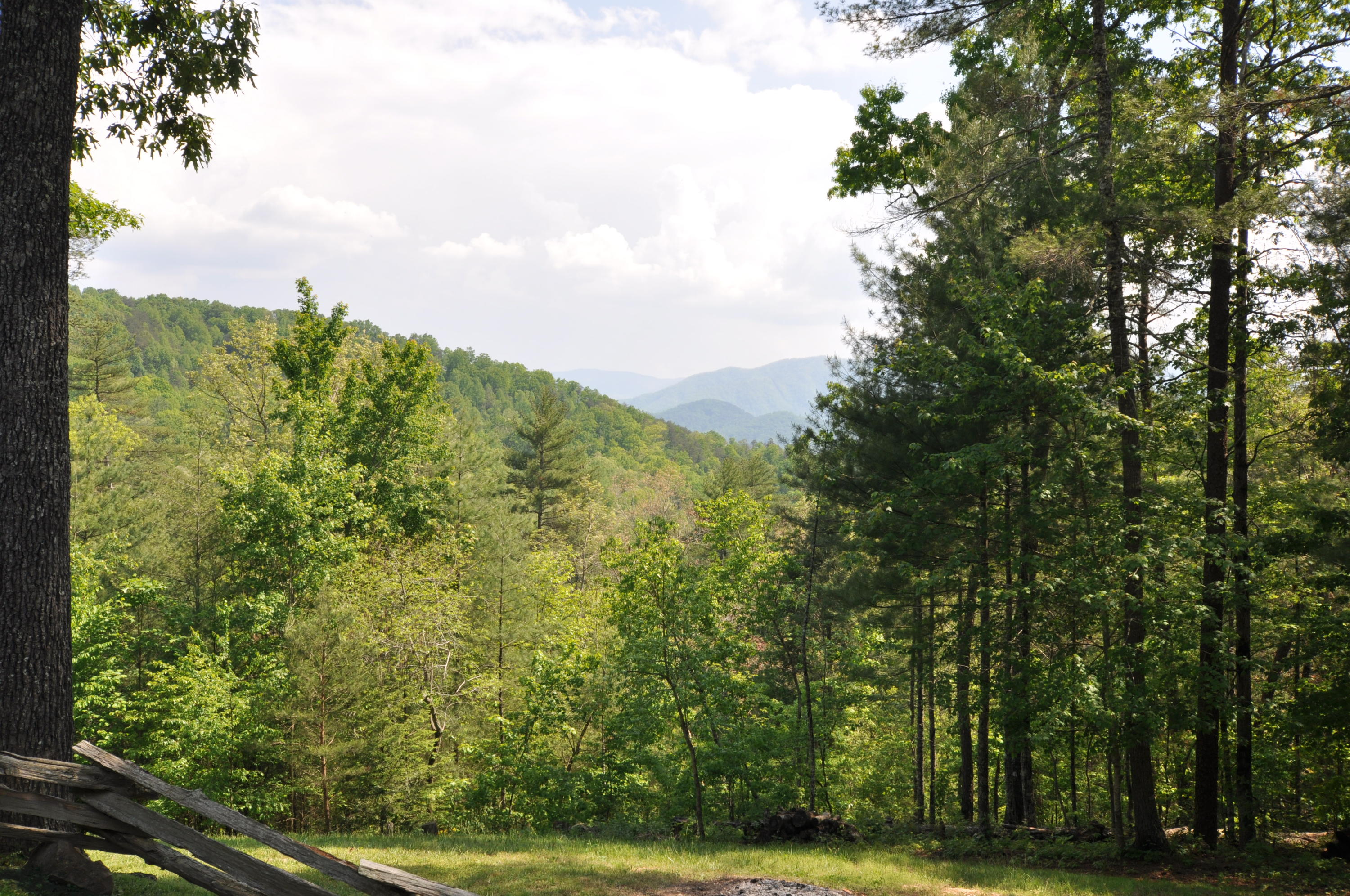 1057 Carrs Creek Road Townsend, TN 37882 - Photo 8 of 32 Lower lawn