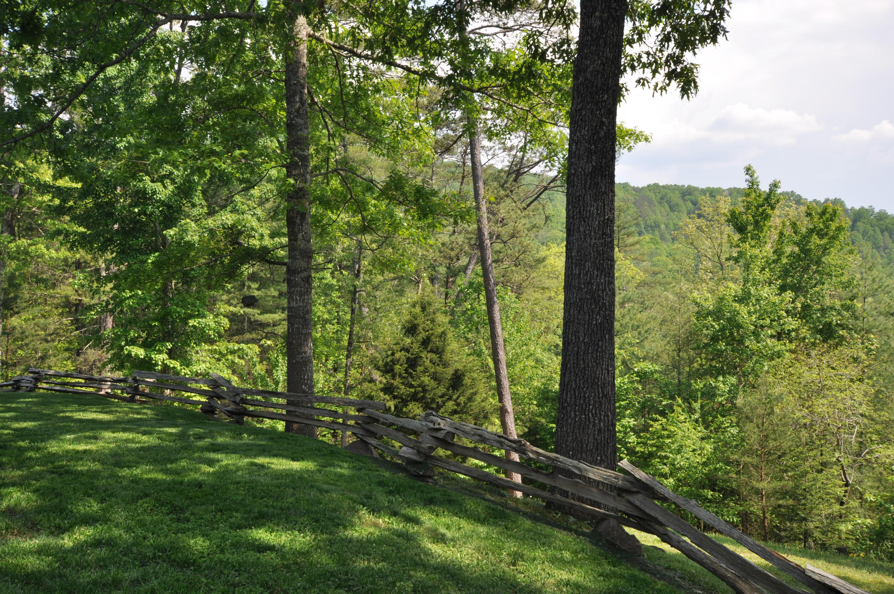 1057 Carrs Creek Road Townsend, TN 37882 - Photo 9 of 32 Listing shots 082