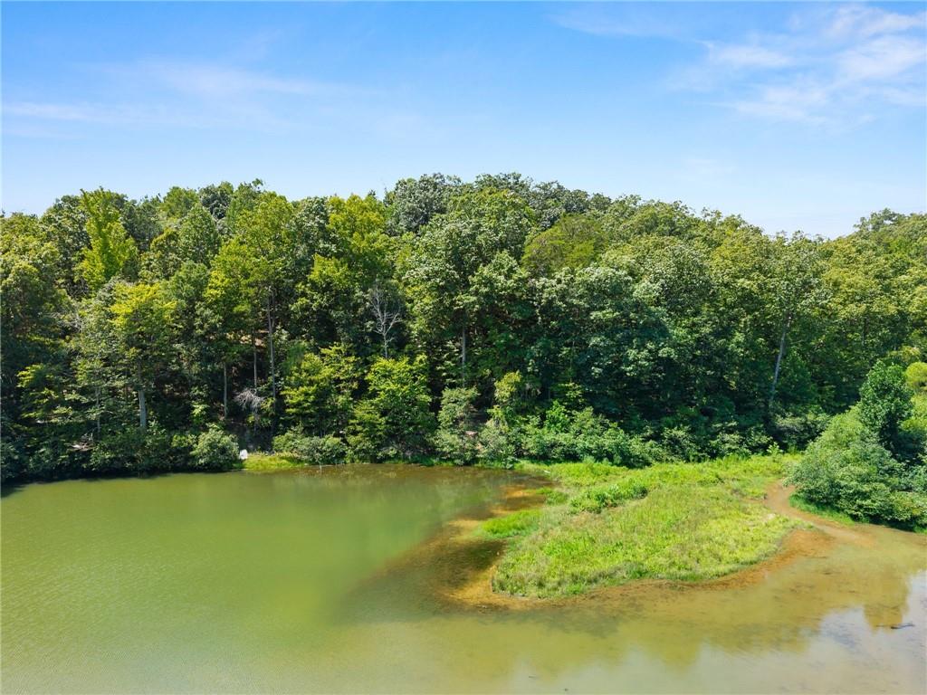 150 Lake Ridge Trail Baldwin, GA 30511 - Photo 17 of 23 Gallery Image 17