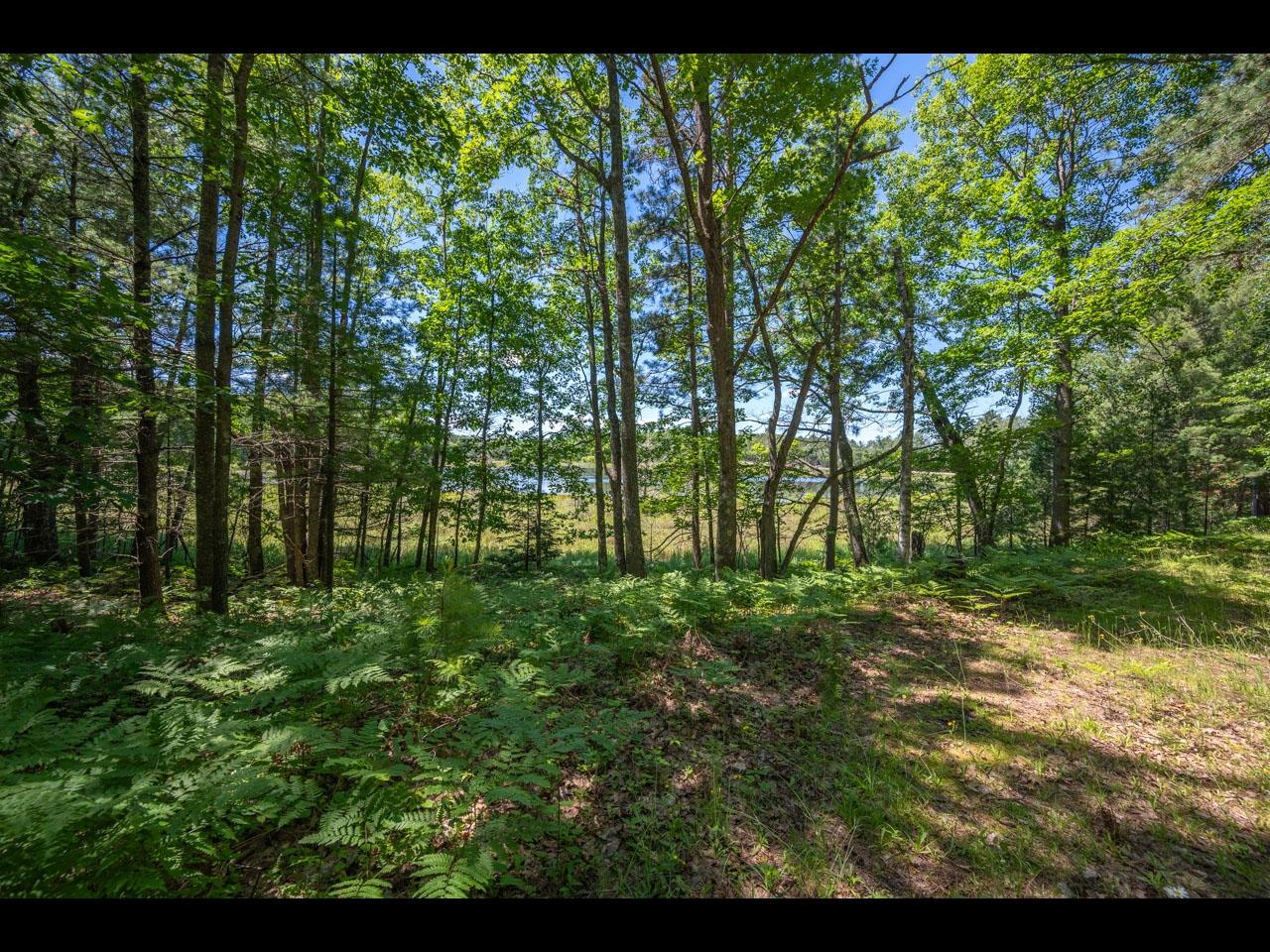 1-2 Carlson Road Land O'Lakes, WI 54540 - Photo 8 of 31 Gallery Image 8