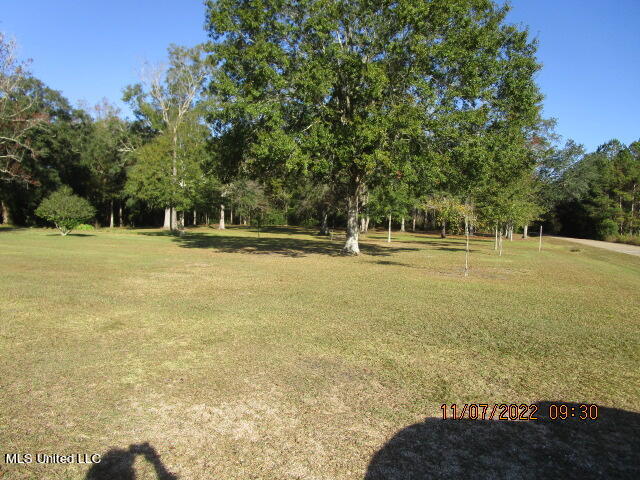 19537 New Hope Church Road Moss Point, MS 39562 - Photo 22 of 22 IMG_5345