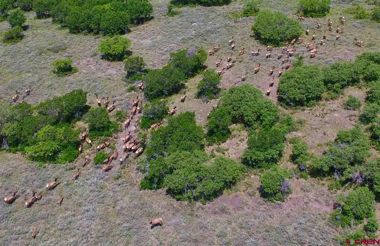 Lot 11 Hull Ridge Road Montrose, CO 81403 - Photo 29 of 34 Gallery Image 29