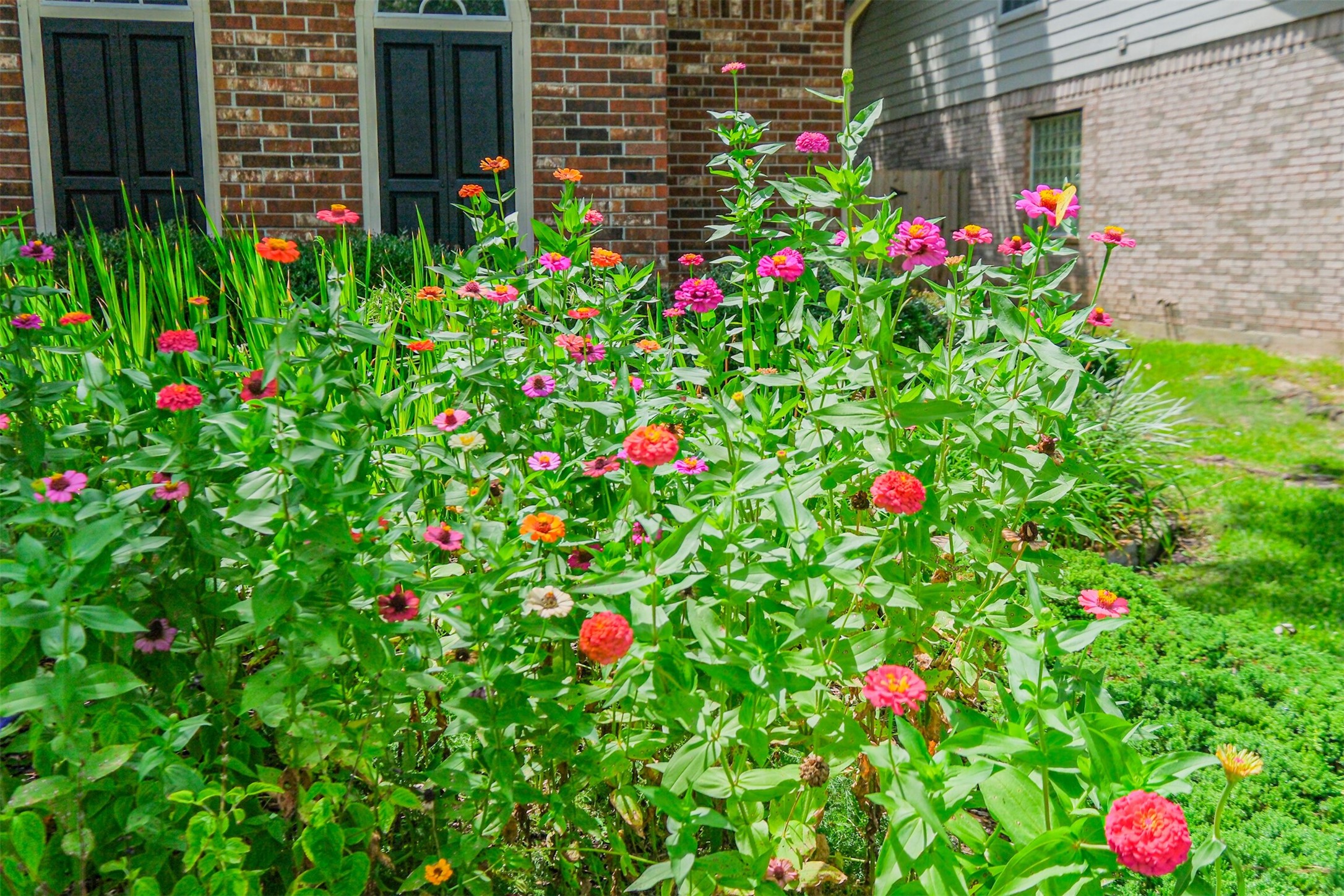 14919 Codys Run Cypress, TX 77429 - Photo 27 of 32 The vibrant pollinator garden welcomes butterflies and hummingbirds, creating a beautiful, ever-changing landscape that adds both color and life to the front of the home.