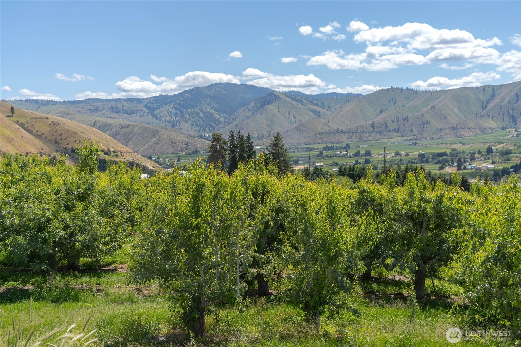 0 Red Apple Road Cashmere, WA 98815 - Photo 17 of 38 a view of a lush green hillside and houses