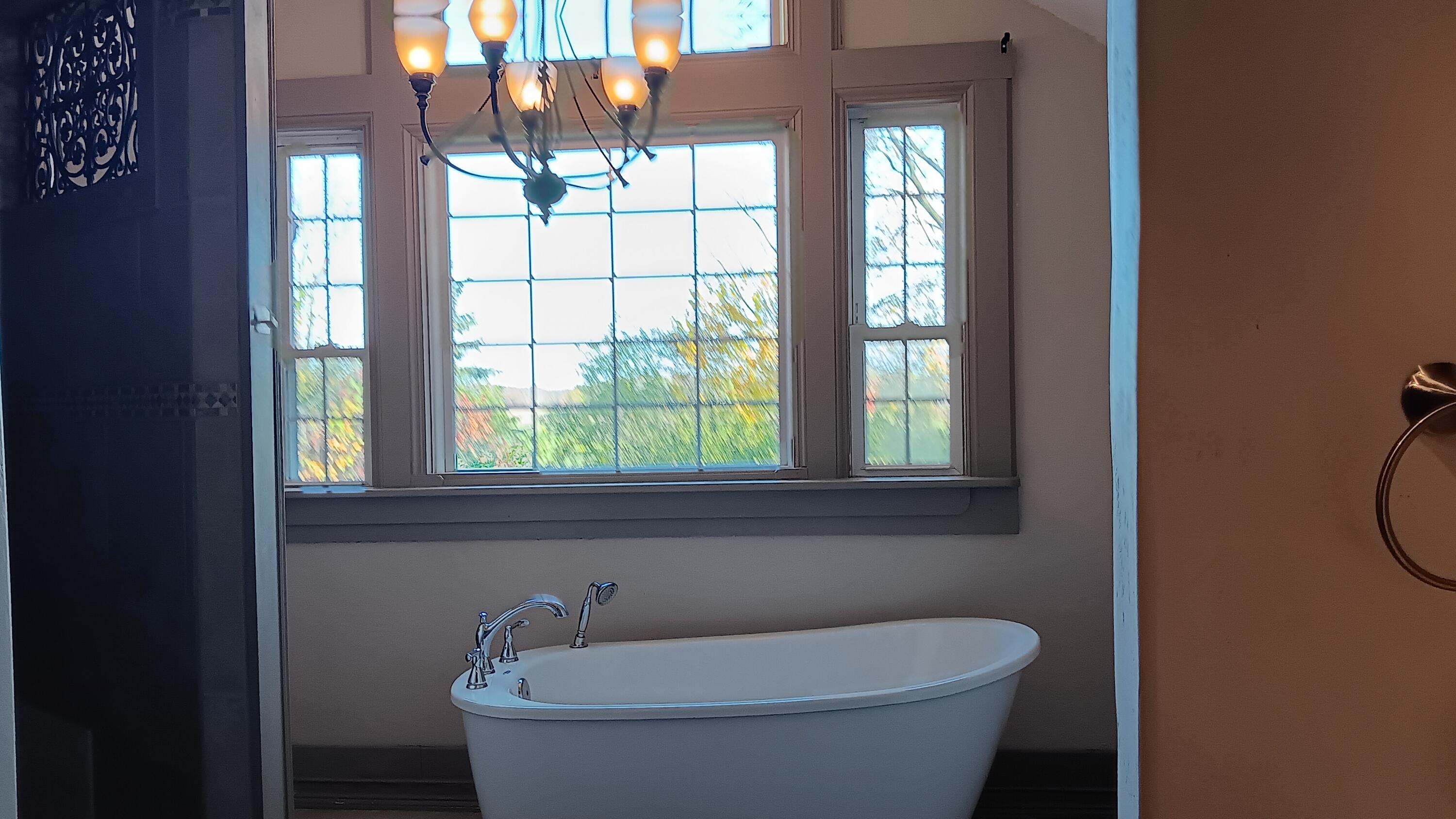 2221 Highway 83 Delafield, WI 53029 - Photo 17 of 43 Separate soaking tub + shower