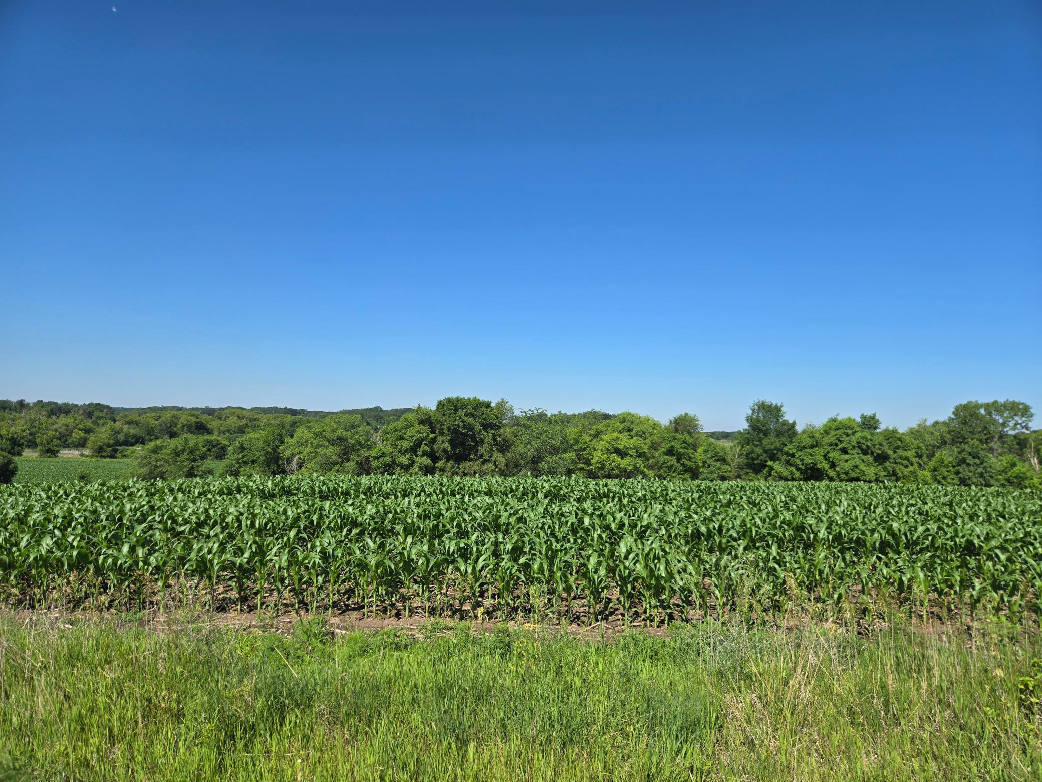 83 Battle Lake Battle Lake, MN 56515 - Photo 3 of 21