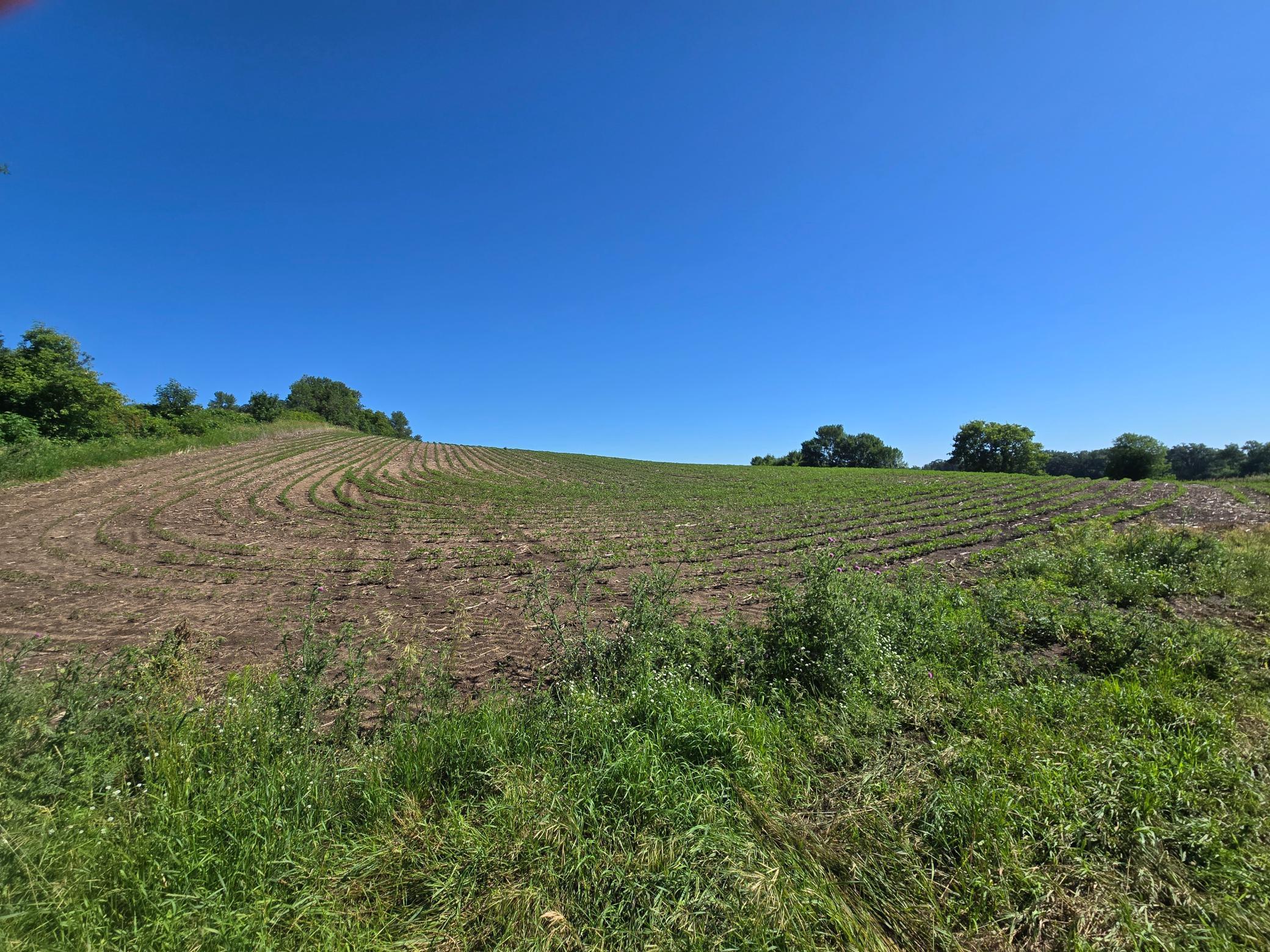 83 Battle Lake Battle Lake, MN 56515 - Photo 5 of 21