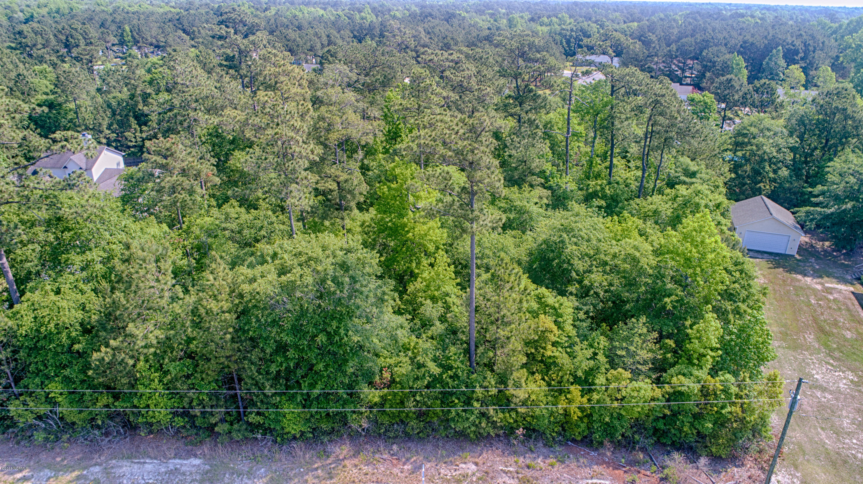 Lot 35 Atkinson Loop Road Hampstead, NC 28443 - Photo 2 of 11 Lot 35 Atkinson Loop - 17