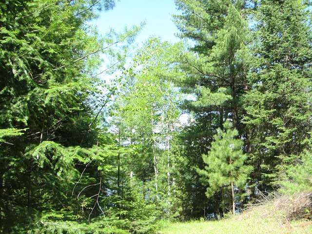 3697 Popko Circle East Mercer, WI 54547 - Photo 5 of 13 Gallery Image 5