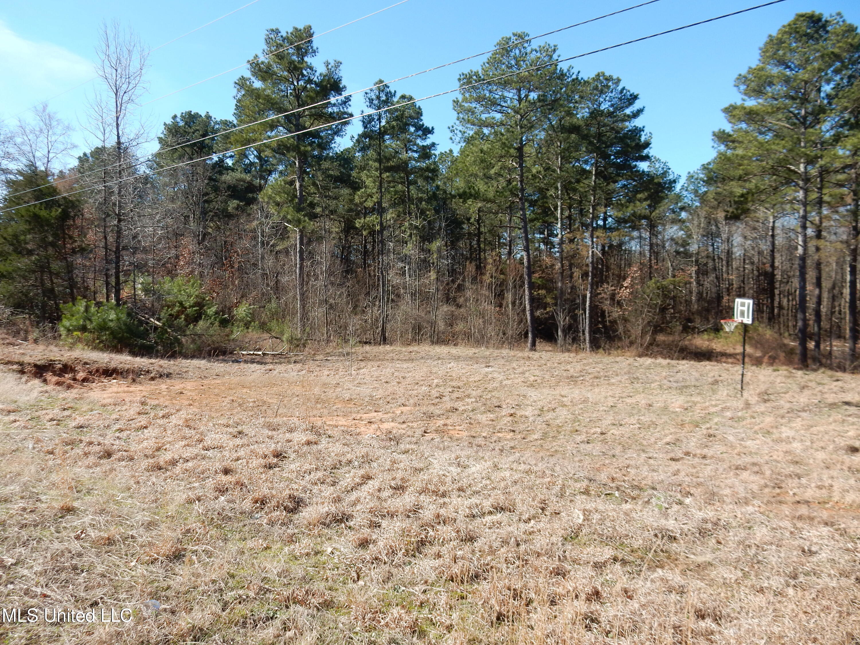 Lot 31 Timbercreek Road Byhalia, MS 38611 - Photo 3 of 3 DSCN3118