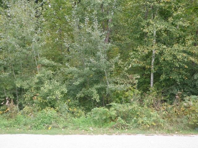 0 Fox Road Sanford, MI 48657 - Photo 1 of 3