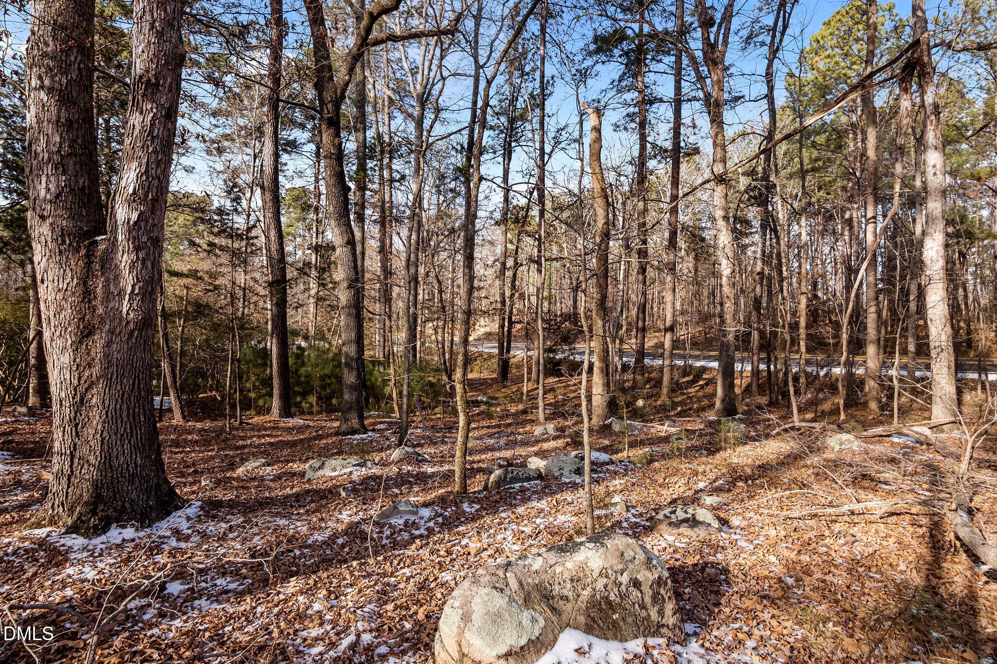 0 Manns Chapel Road Pittsboro, NC 27312 - Photo 11 of 11 11-web-or-mls-P1102712