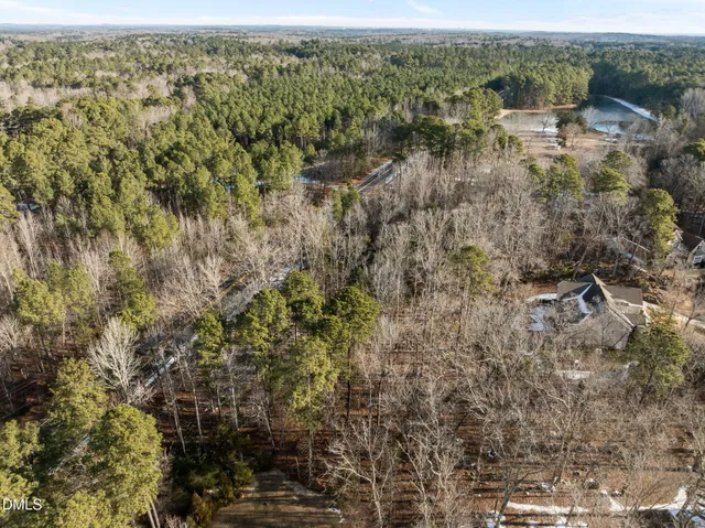 a view of a forest with trees and houses