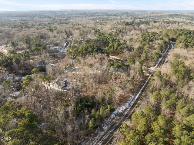 an aerial view of forest