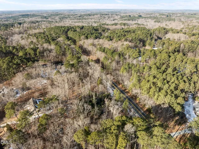 an aerial view of forest
