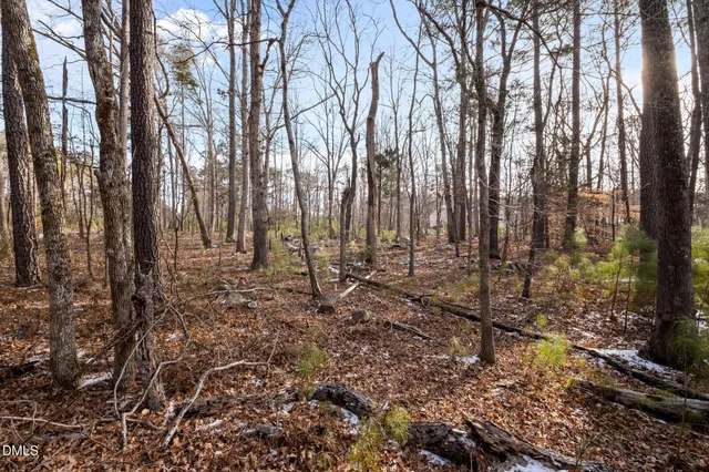 a view of outdoor space with deck and trees