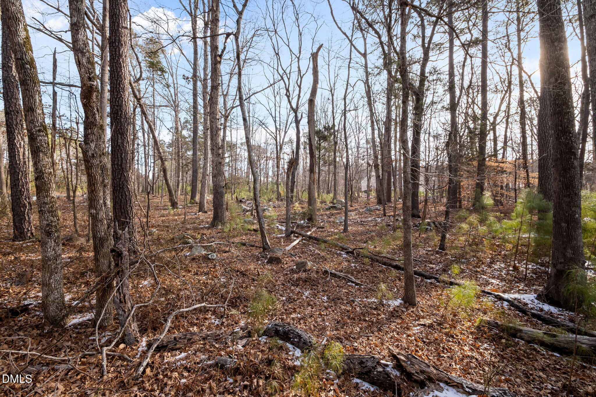 0 Manns Chapel Road Pittsboro, NC 27312 - Photo 10 of 11 10-web-or-mls-P1102707