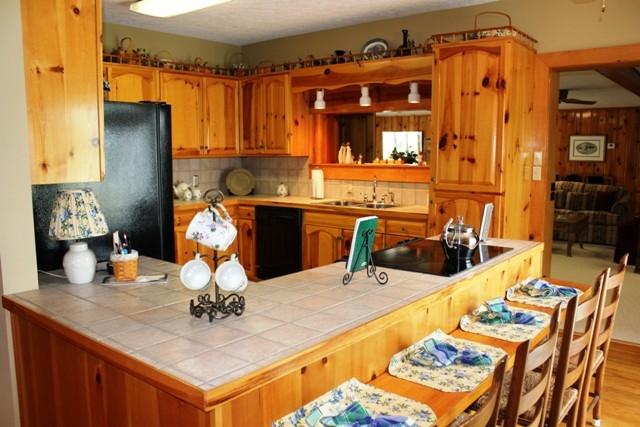 60 Sontag Road Rocky Mount, VA 24151 - Photo 4 of 51 Kitchen Bar Area