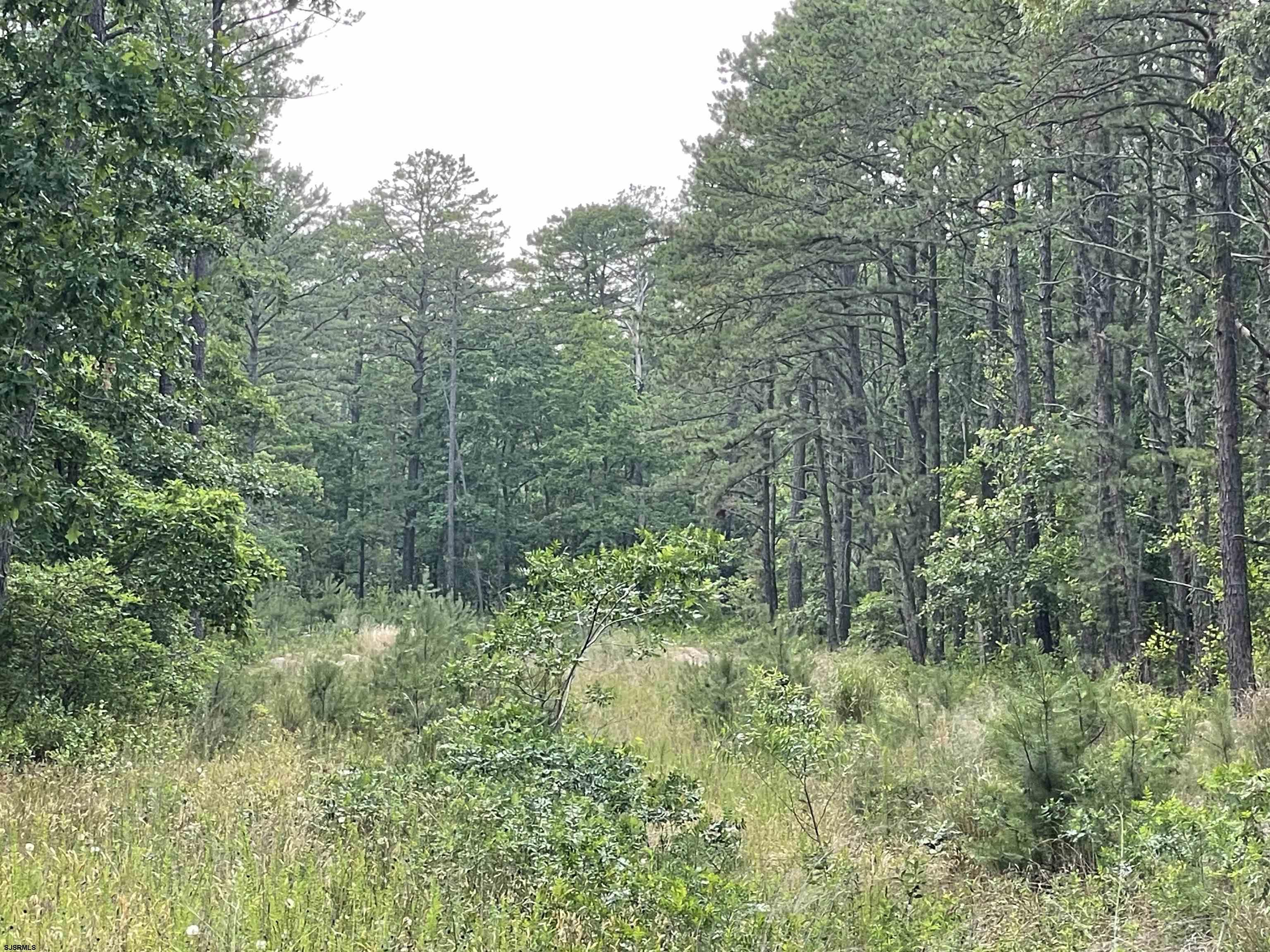 0 Buttonwood Road Rd Rd  